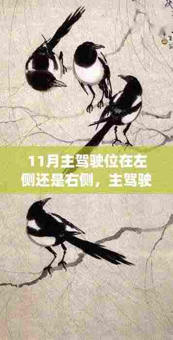 驾驭未知，揭秘主驾驶位在左侧还是右侧？自信闪耀人生路探索之旅（11月）