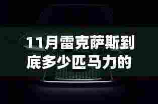 林下风气 第5页