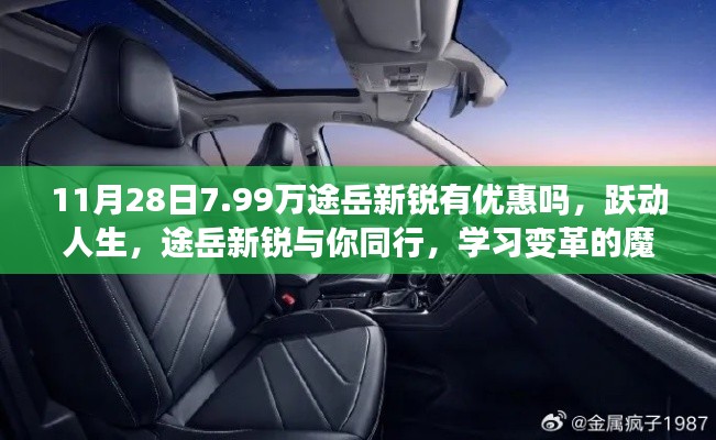 11月28日惊喜优惠,途岳新锐优惠活动与你同行,跃动人生,学习变革魔法