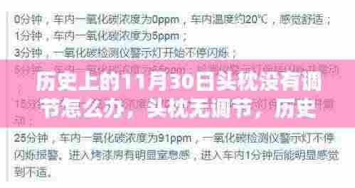 历史上的头枕调节问题，如何应对无调节头枕与黯淡的11月30日时光？