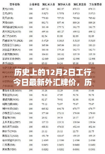 历史上的12月2日工行外汇牌价概览,最新外汇牌价一览无余