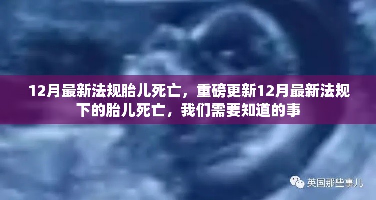 重磅更新,12月最新法规下的胎儿死亡须知