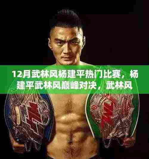 12月武林风杨建平热门比赛,杨建平武林风巅峰对决,武林风杨建平热门比赛的深度解析