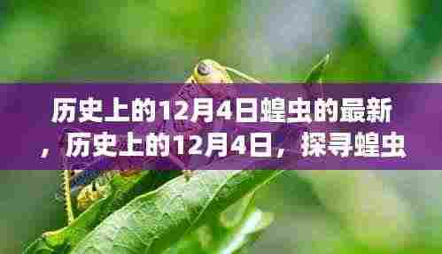 探寻蝗虫灾害,历史上的12月4日最新篇章