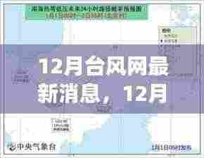 12月台风网最新消息,热带风暴活跃期的气象分析与应对建议
