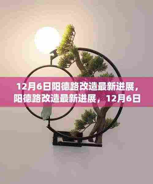 阳德路改造最新进展揭秘,深度探访,美丽新面貌即将绽放(12月6日更新)