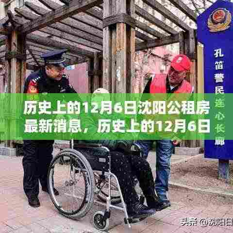 沈阳公租房动态解析，历史视角下的观点碰撞与最新消息速递