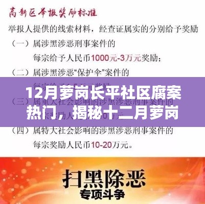 揭秘十二月萝岗长平社区腐败热点,深度剖析背后的原因与案例,社区腐案备受关注