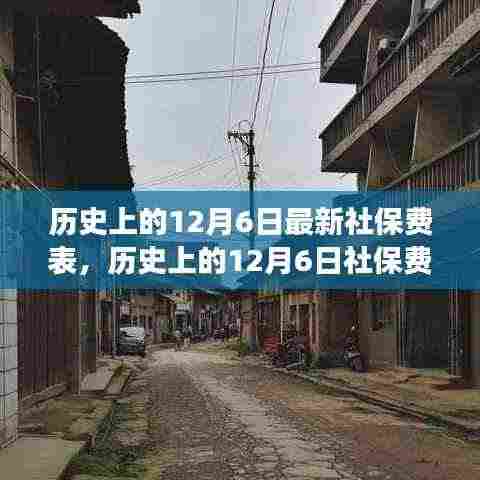 寻找心灵宁静的社保变迁之旅,历史上的12月6日社保费变迁与自然探险喜剧