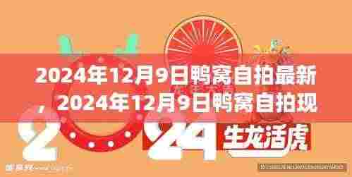 鸭窝自拍现象,文化表达还是过度炒作?