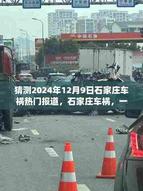 石家庄车祸事件揭示时代变迁与公众关注焦点,一起事故引发深度思考