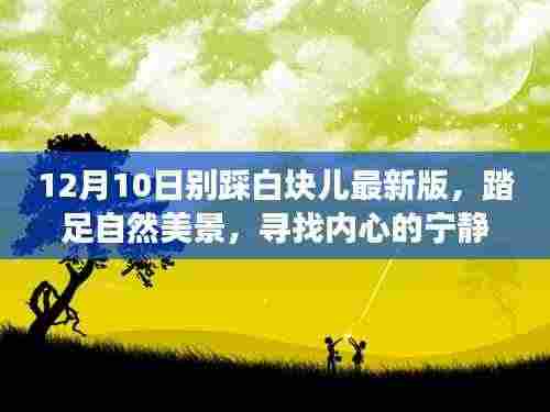 别踩白块儿最新版,踏冬日自然美景,寻找内心宁静之旅