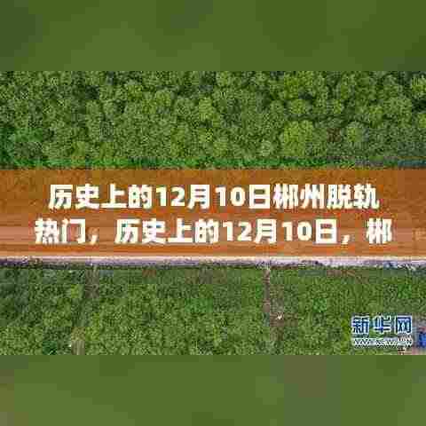 历史上的12月10日郴州脱轨事件深度解析与回顾