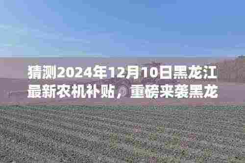 揭秘黑龙江农机新纪元，智能科技重塑农业之旅，重磅预测2024年农机补贴新动向！