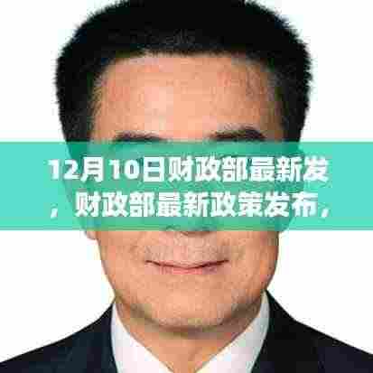 解读,财政部最新政策发布及其影响分析——聚焦12月10日新动向特性与影响
