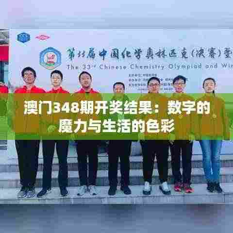 澳门348期开奖结果:数字的魔力与生活的色彩