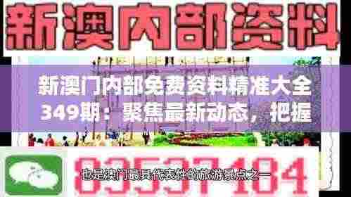 新澳门内部免费资料精准大全349期：聚焦最新动态，把握投资先机