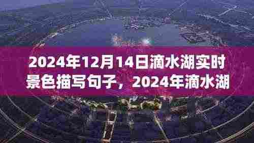 滴水湖梦幻冬夜景色实时描写