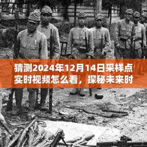 探秘未来时光,采样点奇遇记与实时视频观看指南