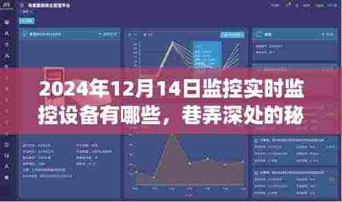 巷弄深处的秘密,揭秘监控设备在实时设备监控中的体验之旅(2024年)