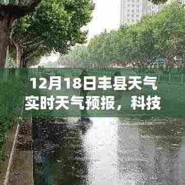 贵人多忘事 第4页