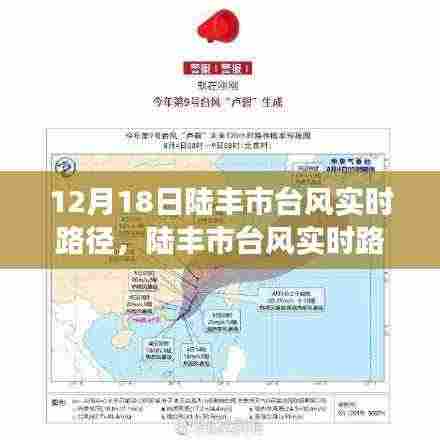 陆丰市台风实时路径分析与影响解读及应对见解