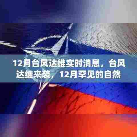 台风达维来袭,12月罕见自然现象及应对策略分析实时更新