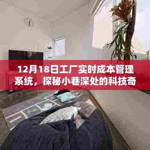 探秘工厂实时成本管理系统,小巷深处的科技奇迹揭秘之旅(12月18日)