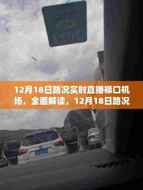 12月18日禄口机场路况实时直播,全面解读