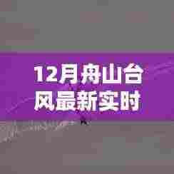科技赋能生活,舟山台风最新实时智能监测系统全新升级报告