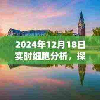 探秘科技秘境，实时细胞分析的奇妙之旅（2024年12月18日）
