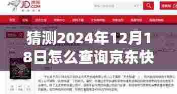 揭秘未来快递查询方式,预测并实时追踪京东快递在特定日期的位置(预测至2024年12月18日)