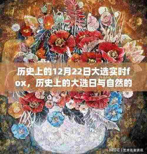 历史上的大选日与自然对话,寻找内心平静的奇妙之旅当日焦点回顾福克斯实时报道