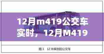 12月M419公交车实时信息及特性详解、用户体验与目标用户分析