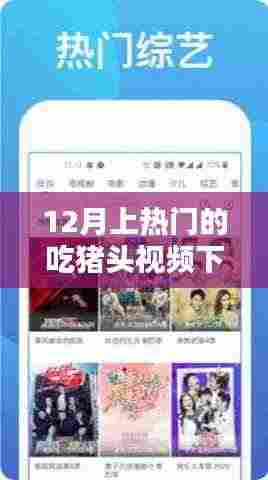 12月热门猪头视频下载,深度评测与介绍,不容错过的美食盛宴