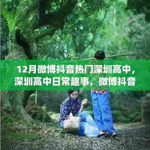 深圳高中日常趣事与微博抖音热点温暖岁月回顾