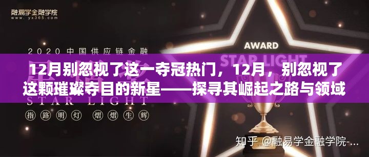 12月新星璀璨崛起,探寻夺冠热门之星领域地位与崛起之路