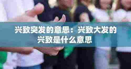 兴致突发的意思：兴致大发的兴致是什么意思 