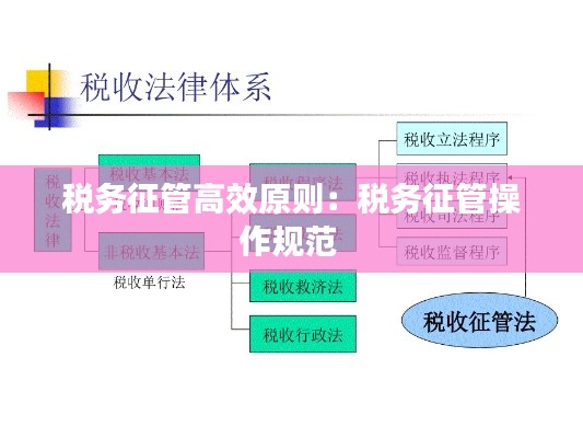 税务征管高效原则:税务征管操作规范
