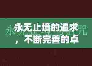 永无止境的追求，不断完善的卓越旅程