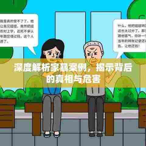 深度解析家暴案例，揭示背后的真相与危害