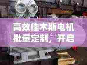 高效佳木斯电机批量定制,开启电机制造新纪元