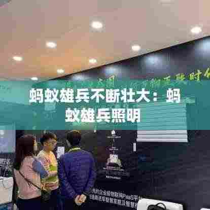 蚂蚁雄兵不断壮大：蚂蚁雄兵照明 