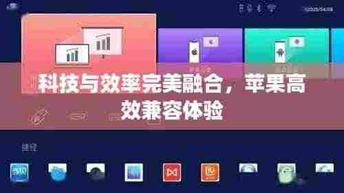 科技与效率完美融合，苹果高效兼容体验