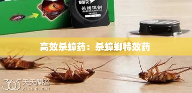 高效杀蟑药:杀蟑螂特效药