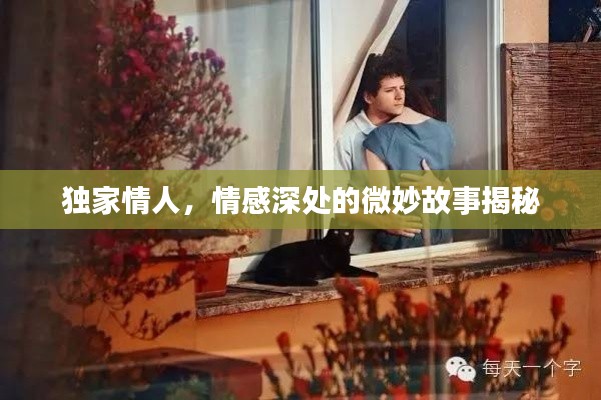 独家情人,情感深处的微妙故事揭秘