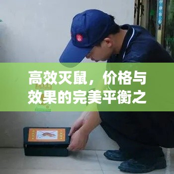 高效灭鼠，价格与效果的完美平衡之道