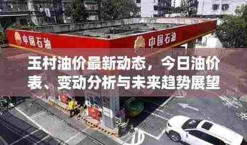 玉村油价最新动态，今日油价表、变动分析与未来趋势展望