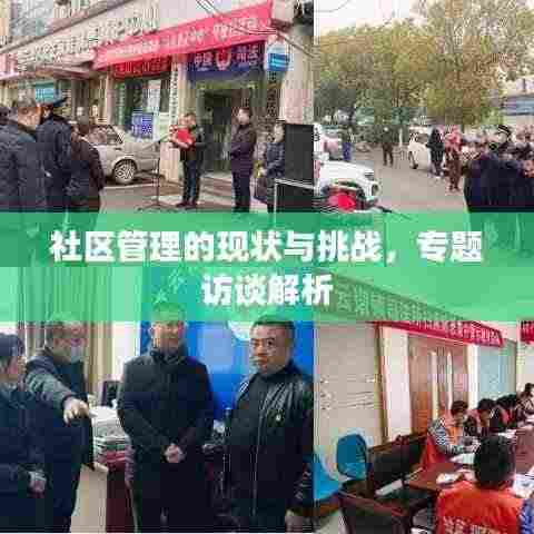 社区管理的现状与挑战，专题访谈解析