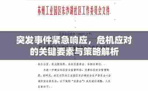 突发事件紧急响应,危机应对的关键要素与策略解析